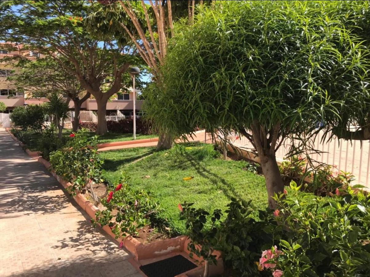 Oasis Del Duque